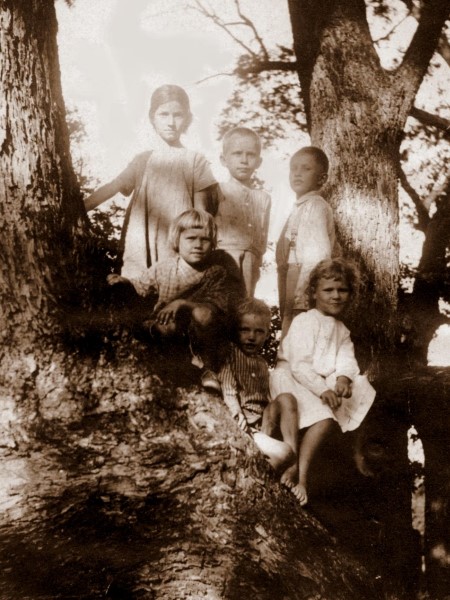 Fuchs kids in a tree, 1912 Fuchs kids in a tree, 1912